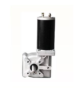 Brushless DC Motor