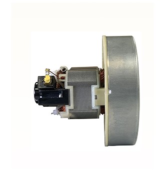 Microwave Oven Motor